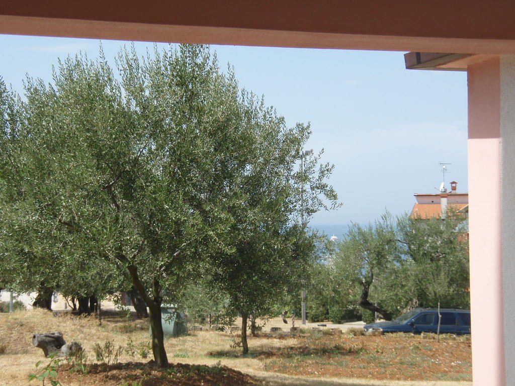 Guest House Zohil Rovinj Room photo